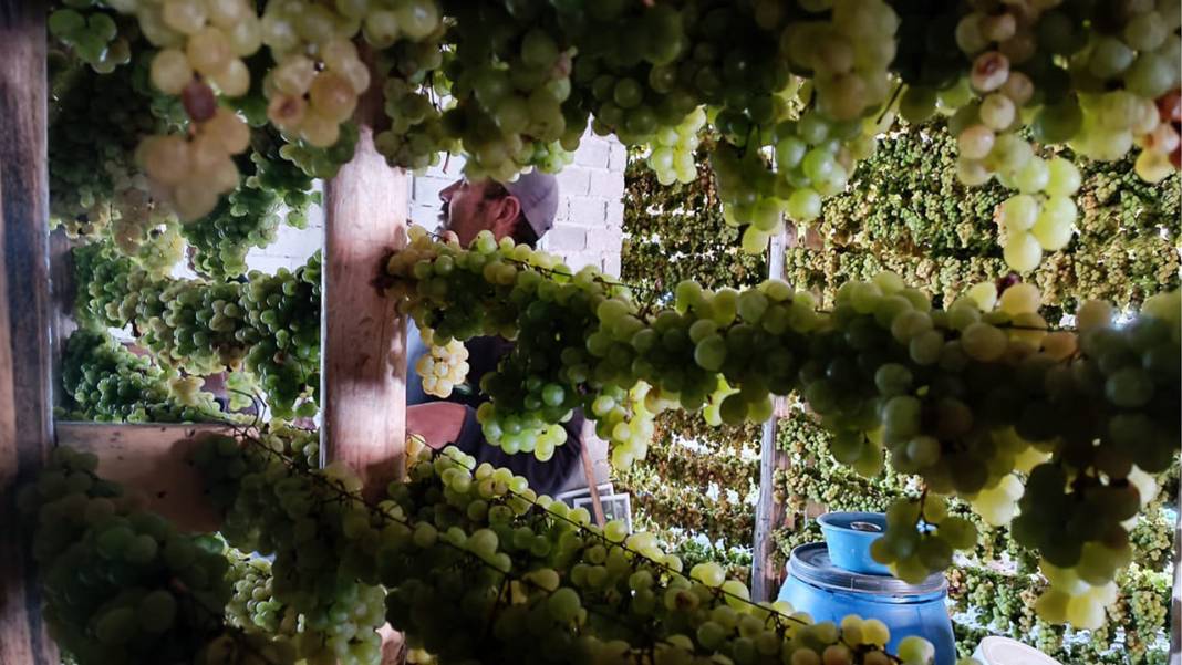 Konya’da yüz yıllardır süren bir gelenek: Üzüme farklı bir lezzet katıyor 5